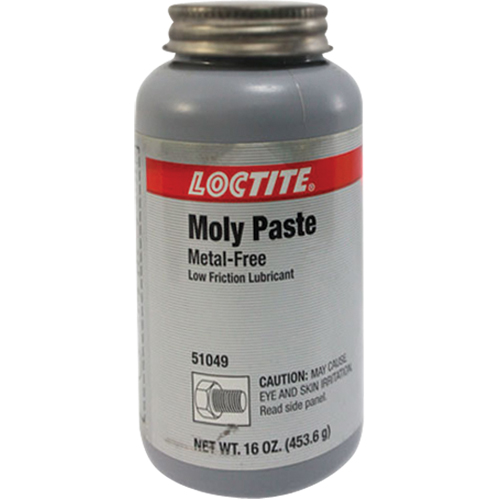 Moly Paste, 518 g., 750°F (400°C) Max. Effective Temperature TGS INDUSTRIEL