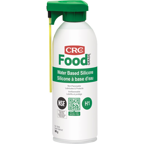 Water-Based Silicone Lubricant, Aerosol Can TGS INDUSTRIEL