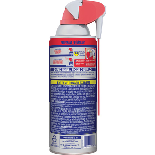 P&eacute;n&eacute;trant pour le d&eacute;logement de la rouille, Canette a&eacute;rosol, 311 g TGS INDUSTRIEL