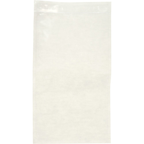 Non-Printed Packing List Envelope, 10" L x 5-1/2" W, Endloading Style TGS INDUSTRIEL