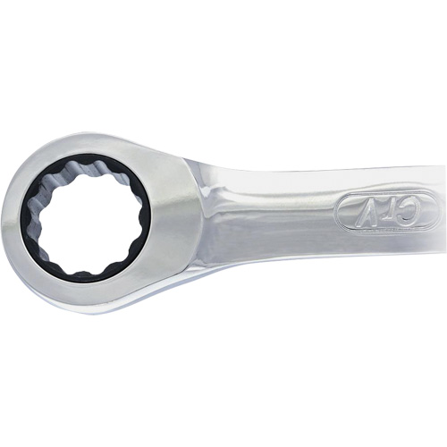 Non-Reversing Ratcheting Combination Wrench TGS INDUSTRIEL
