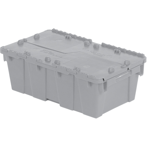 Flipak&reg; Polyethylene Plastic (PE) Distribution Containers, 19.7" x 11.8" x 7.3", Grey TGS INDUSTRIEL