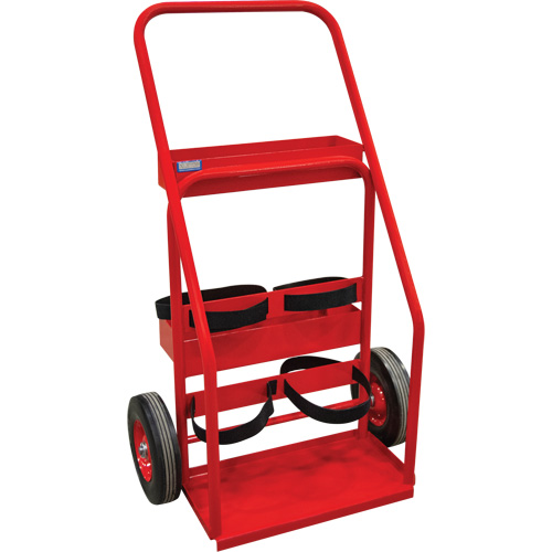 Chariot de prevention d'incendie pour travaux &agrave; chaud, Roues Semi-pneumatique, Base de 17,75" la x 8,9" lo, 100 lb TGS INDUSTRIEL