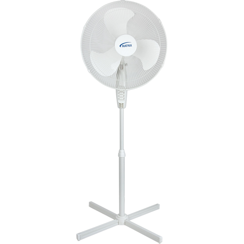 Oscillating Pedestal Fan, Commercial, 3 Speed, 18" Diameter TGS INDUSTRIEL