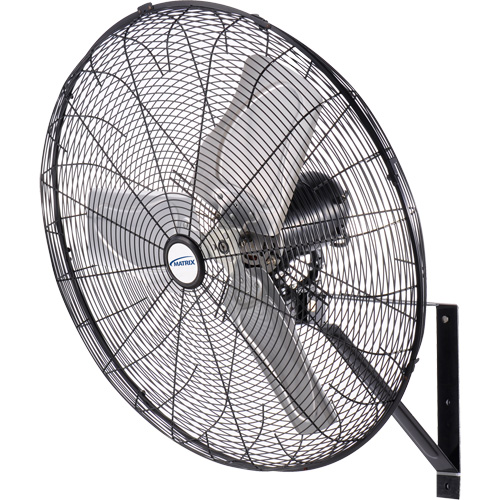 Ventilateur oscillant sur socle avec vaporisation &agrave; moteur &eacute;tanche &agrave; l'eau, Industriel, 3 vitesses, Diam&egrave;tre de 30" TGS INDUSTRIEL