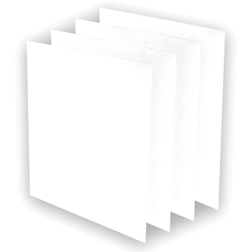 AeraMax&reg; Pro AM3 or AM4 Pre-Filters, 13.75" W x 0.13" D x 14.38" H TGS INDUSTRIEL