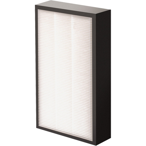 V&eacute;ritables filtre HEPA AeraMax Pro AM2 1-3/4", Boîte, 7,38" la x 1,88" p x 12,88" h TGS INDUSTRIEL