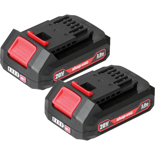 2.0Ah Lithium Battery - 2 Pack, 20 V TGS INDUSTRIEL
