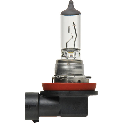 H8 Basic Headlight Bulb, Halogen, 35 W, Off White TGS INDUSTRIEL
