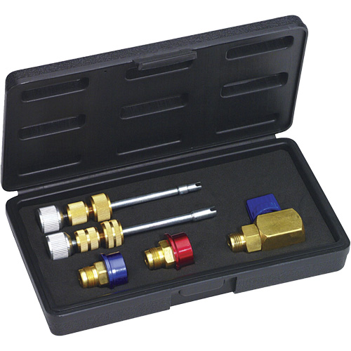 R134a Eaton (M8 & M10) Valve Core Kit TGS INDUSTRIEL