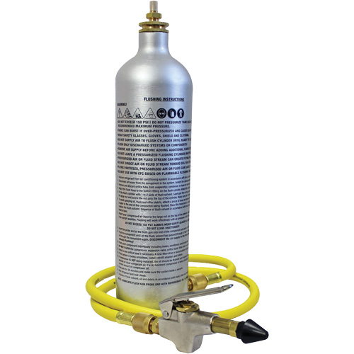A/C System Flush Kit TGS INDUSTRIEL