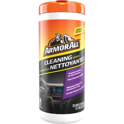 Cleaning Wipes TGS INDUSTRIEL