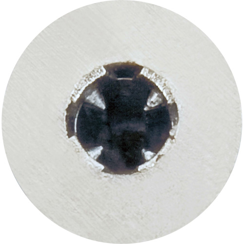 Ancrage pour plaques de pl&acirc;tre Zip-It avec pointe de perçage TGS INDUSTRIEL