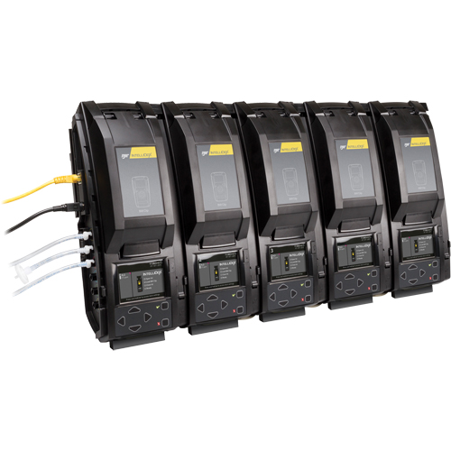Poste d'accueil IntelliDoX BW, Compatible avec BW Clip TGS INDUSTRIEL
