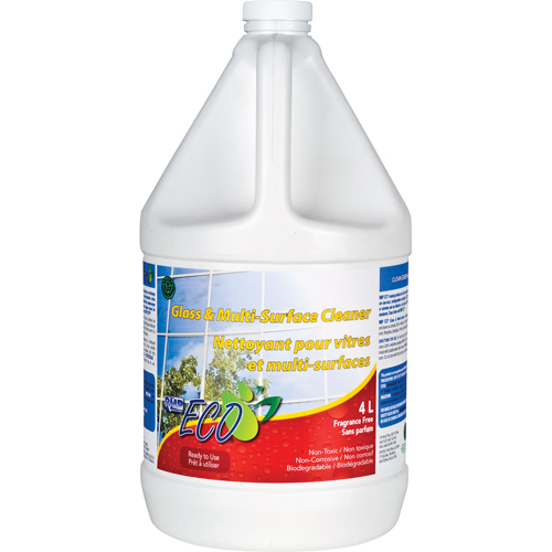 Glass & Multi-Surface Cleaners, 4 L, Jug TGS INDUSTRIEL