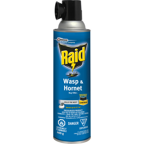 Insecticide contre les gu&ecirc;pes et les frelons Raid, 400 g, &agrave; base de solvant TGS INDUSTRIEL