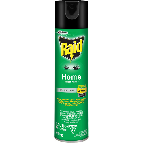 Raid&reg; Home Insect Killer, 350 g, Solvent Base TGS INDUSTRIEL