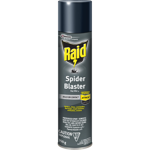 Insecticide exterminateur daraign&eacute;es Raid, 350 g, Canette a&eacute;rosol, &agrave; base de solvant TGS INDUSTRIEL