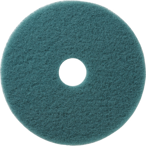 Tampons &agrave; polir pour planchers Aqua, 19", Brunissage, Aqua TGS INDUSTRIEL