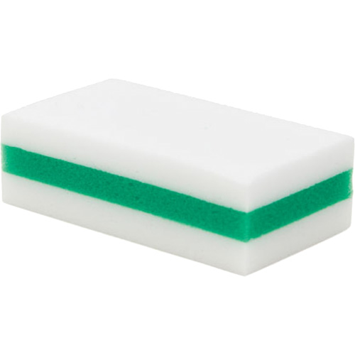 eXpunge&reg; Sponge Plus, Scrubbing, 3-3/8" W x 6-1/4" L TGS INDUSTRIEL