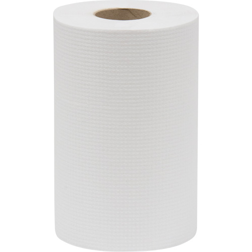 Rouleau d'essuie-tout Everest Pro, 1 pli, Standard, 300' lo TGS INDUSTRIEL