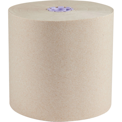 Essential 100% Recycled Brown Hard Roll Towels, 1 Ply, Standard, 700' L TGS INDUSTRIEL