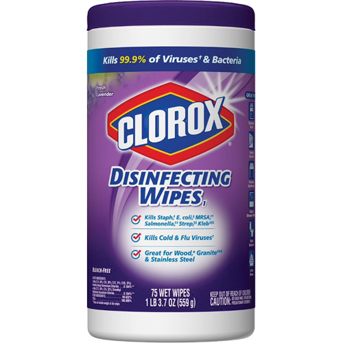 Lingettes d&eacute;sinfectantes, 75 lingettes TGS INDUSTRIEL