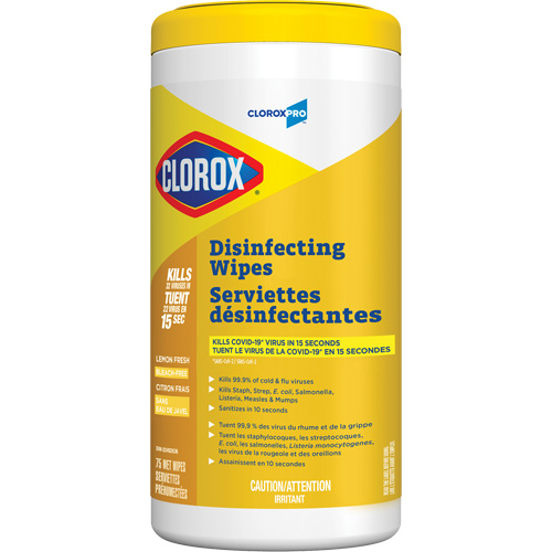 Lingettes d&eacute;sinfectantes, 75 lingettes TGS INDUSTRIEL