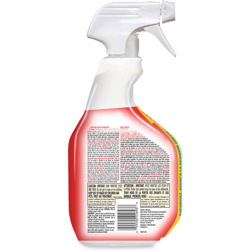 Disinfecting Bio Stain & Odour Remover, 946 ml, Trigger Bottle TGS INDUSTRIEL