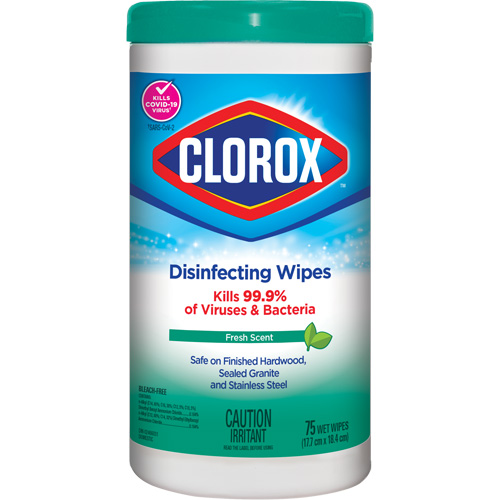 Lingettes d&eacute;sinfectantes, 75 lingettes TGS INDUSTRIEL
