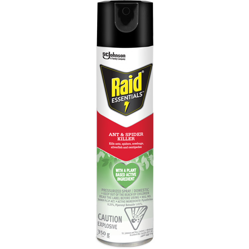 Insecticide pour araign&eacute;es et fourmis Essentials Raid, 350 g, Canette a&eacute;rosol TGS INDUSTRIEL