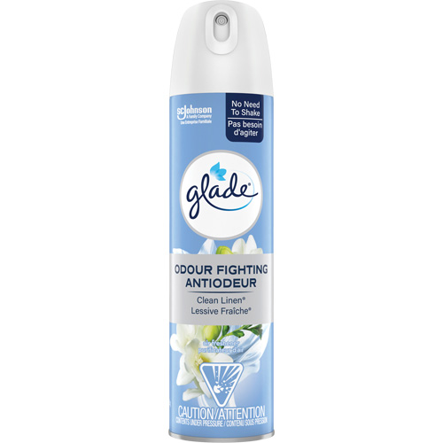 Assainisseur dair, Lessive fraîche , Canette a&eacute;rosol TGS INDUSTRIEL