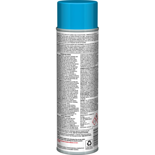 D&eacute;capant pour cire de plinthes avec mousse adh&eacute;sive, 19 oz., Canette a&eacute;rosol TGS INDUSTRIEL