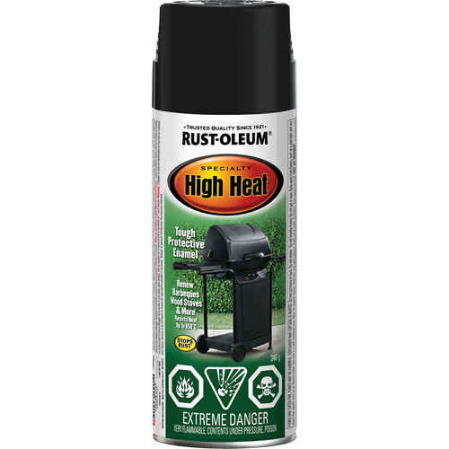 Specialty High Heat Enamel Spray Paint, Aerosol Can, Black TGS INDUSTRIEL