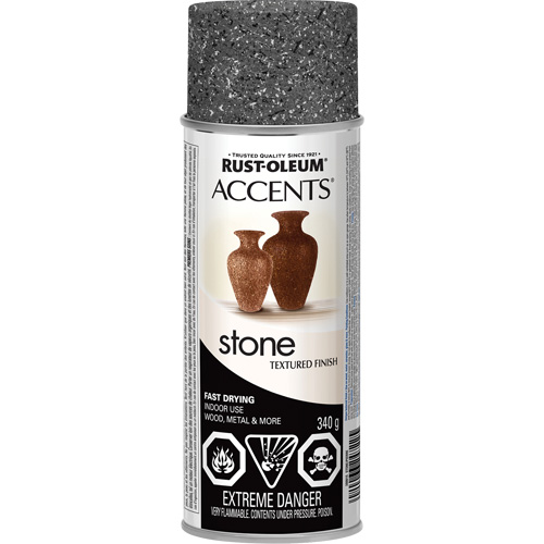 Accents&reg; Stone Creations Spray Paint, Aerosol Can, Grey Stone TGS INDUSTRIEL