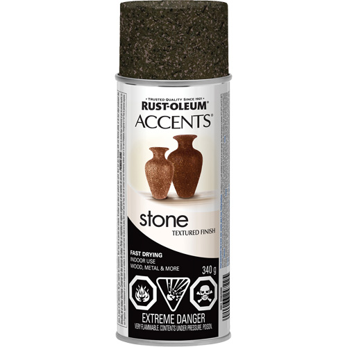 Accents&reg; Stone Creations Spray Paint, Aerosol Can, Granite Stone TGS INDUSTRIEL