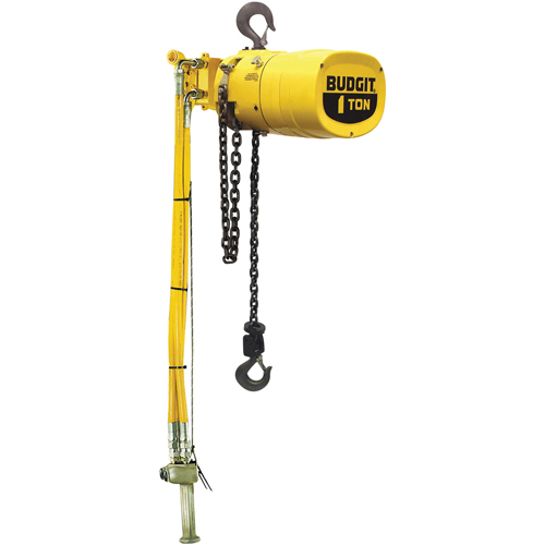 Budgit&reg; Series 6000 Air Hoists TGS INDUSTRIEL