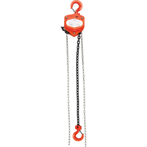 Chain Hoist, 20' Lift, 1000 lbs. (0.45 tons) Capacity, Alloy Steel Chain TGS INDUSTRIEL