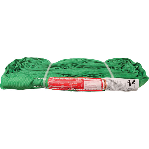 &eacute;lingue ronde en polyester, Vert, 12' lo, 6000 lb Charge verticale TGS INDUSTRIEL