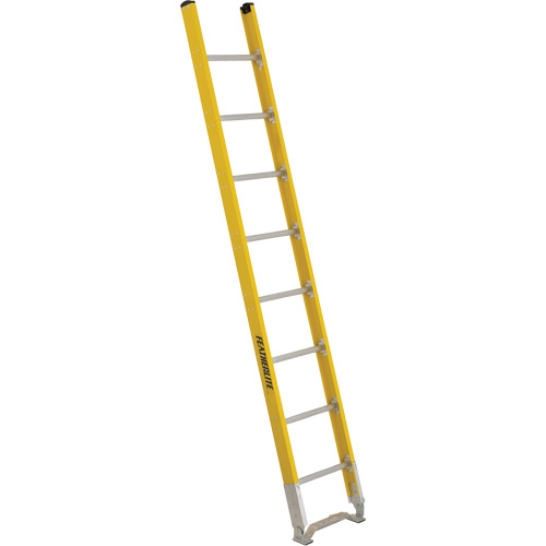 Single Section Straight Ladder - 6100 Series, 8', Fibreglass, 375 lbs., CSA Grade 1AA TGS INDUSTRIEL