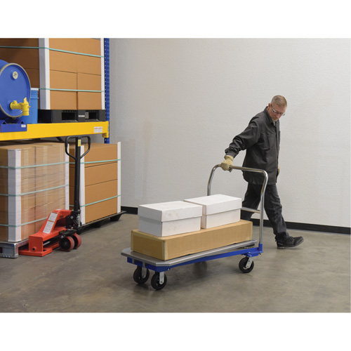 Platform Cart, 48" L x 24" W, 1500 lbs. Capacity, Mold-on Rubber Casters TGS INDUSTRIEL