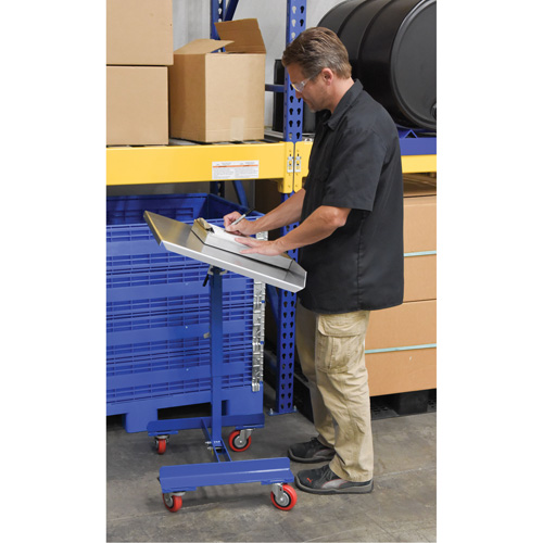 Mobile Tilting Work Table TGS INDUSTRIEL