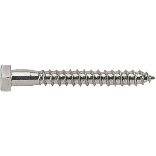 Lag Bolt, 3/8" x 4" L, Zinc Plated TGS INDUSTRIEL