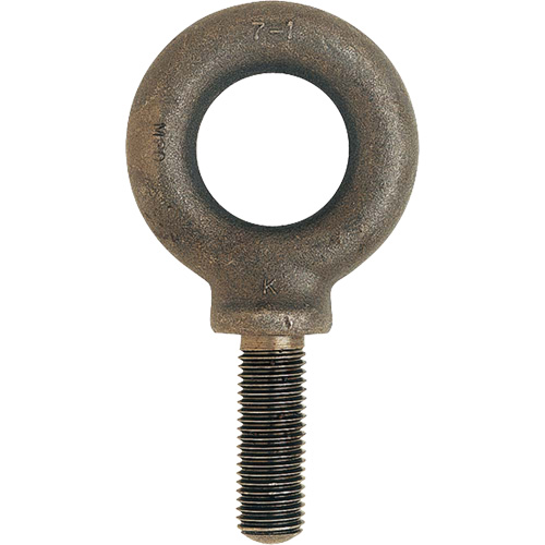 Boulon &agrave; œil SAE, 7/8" dia, 1-1/8" lo, 1200 lb (0,6 tonne) capacit&eacute; TGS INDUSTRIEL