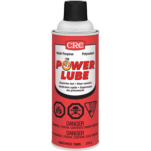 Lubrifiant tout usage Power Lube, Canette a&eacute;rosol TGS INDUSTRIEL