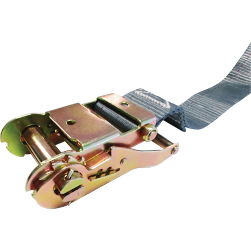 Tendeur d'arrimage &agrave; cliquet, Syst&egrave;me E-Track, 2" , 16' , Charge d'utilisation max. 1333 lb (605 kg) TGS INDUSTRIEL