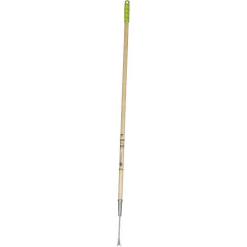 Dandelion Weeder TGS INDUSTRIEL