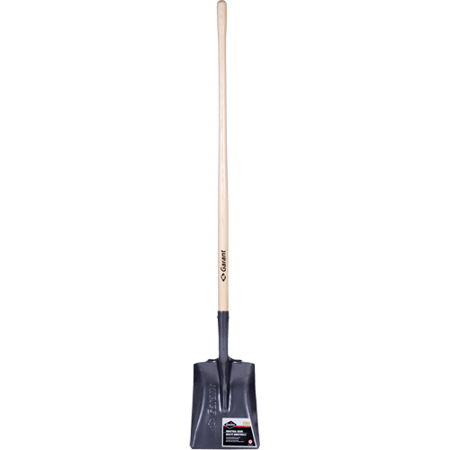 Pelle carr&eacute;e  Pro, Bois, Lame Acier durci, Manche en Droit, Longueur 48" TGS INDUSTRIEL