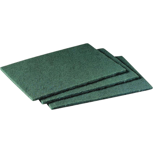 Tampons manuels Scotch-Brite, 9" lo x 6" la TGS INDUSTRIEL