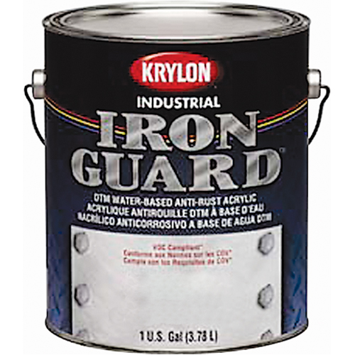 Industrial Iron Guard&reg; Water-Based Enamel, Can, Grey TGS INDUSTRIEL